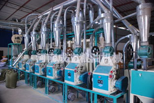 小型小麥加工面粉機(jī)械圖片,小型小麥加工面粉機(jī)械高清圖片 河南成立糧油,